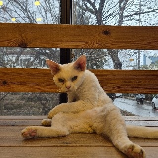 프로필 이미지