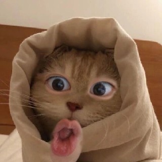 suah#2S6l님의 프로필 이미지