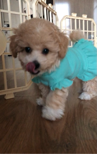 도리#ZPvI님의 프로필 이미지