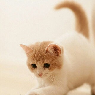 유저 프로필 사진